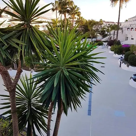 Appartement One Bedroom With Shared Pool Garden And Wifi At 1 Km Away From The